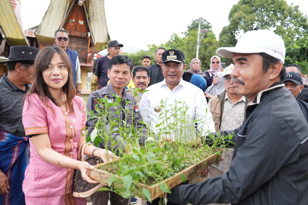 Warga Tabang Serbu Pohon Gratis dari Pemprov Sulbar 